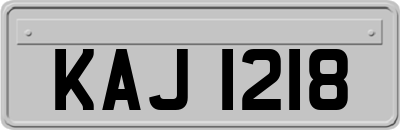 KAJ1218