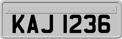 KAJ1236