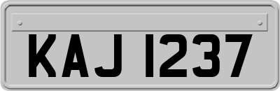 KAJ1237