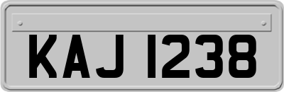 KAJ1238