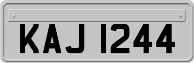 KAJ1244