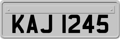 KAJ1245