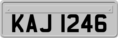 KAJ1246