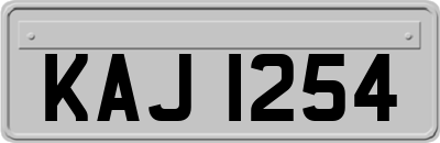 KAJ1254
