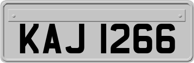 KAJ1266