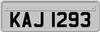 KAJ1293