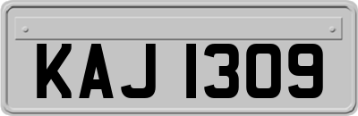 KAJ1309