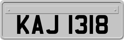 KAJ1318