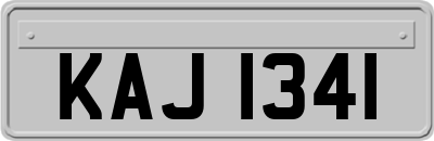 KAJ1341