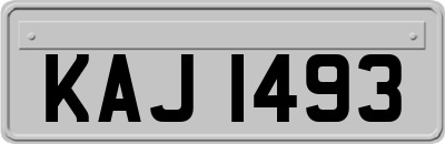 KAJ1493