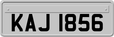 KAJ1856