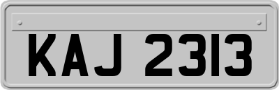 KAJ2313