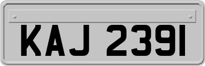 KAJ2391