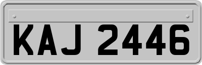 KAJ2446