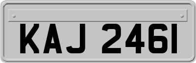 KAJ2461
