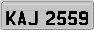 KAJ2559