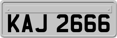 KAJ2666