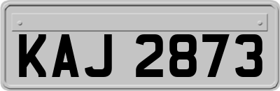 KAJ2873