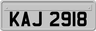 KAJ2918