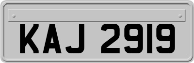 KAJ2919
