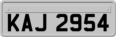KAJ2954