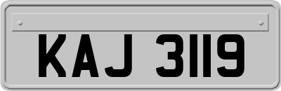 KAJ3119
