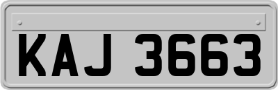 KAJ3663