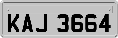 KAJ3664