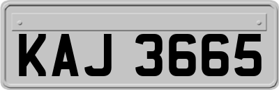 KAJ3665