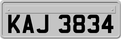 KAJ3834