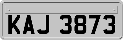 KAJ3873
