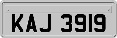 KAJ3919