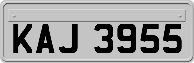 KAJ3955