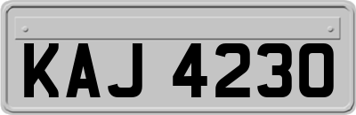 KAJ4230