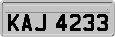 KAJ4233