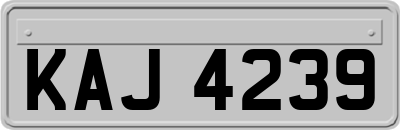 KAJ4239