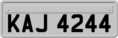 KAJ4244