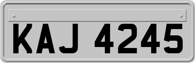 KAJ4245