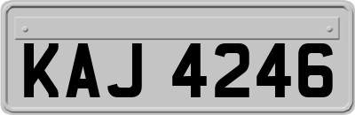 KAJ4246