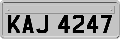 KAJ4247