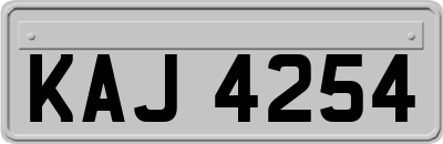KAJ4254