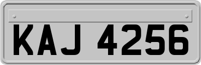 KAJ4256