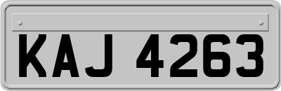 KAJ4263