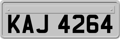 KAJ4264