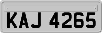 KAJ4265