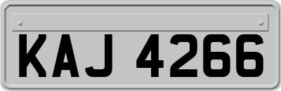 KAJ4266