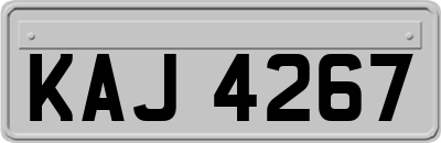 KAJ4267