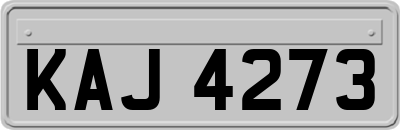 KAJ4273
