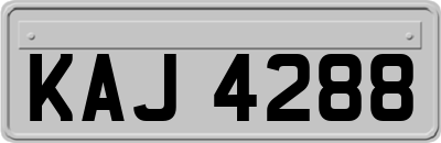 KAJ4288