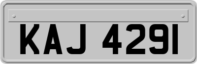KAJ4291